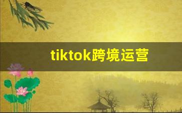 tiktok跨境运营_Tik Tok店铺模式